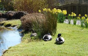 English Country house close London and Oxford - Henley on Thames, United Kingdom