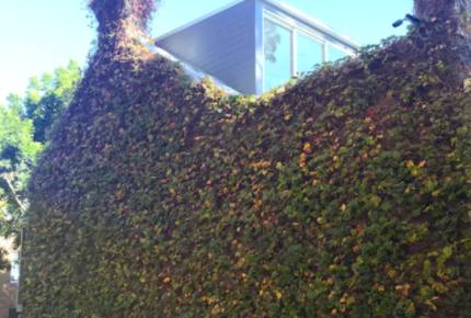 Modern Sydney Terrace House - Surry Hills, Australia