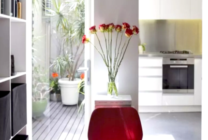 Modern Sydney Terrace House