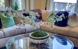 Firesong Ranch and Glamping - The Casita and Ndotto - Spicewood, Texas