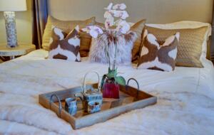 Firesong Ranch and Glamping - The Casita and Ndotto - Spicewood, Texas