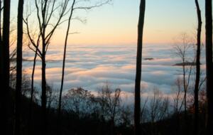 Mountain Retreat Near Greenville and Asheville - Greenville, South Carolina