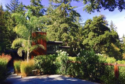 Silicon Valley Woodside Retreat in the Redwoods