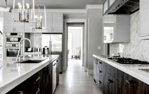 Contemporary Lake Norman Escape - Denver, North Carolina