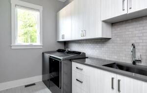 Contemporary Lake Norman Escape - Denver, North Carolina