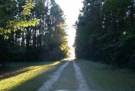 Beautiful Grace Point, Cape Romain, SC