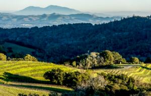 Mount Veeder Retreat - Napa, California