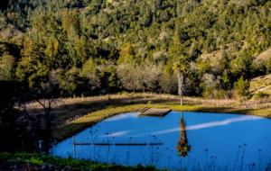 Mount Veeder Retreat - Napa, California