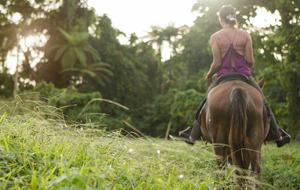 Raiwasa Private Retreat - Taveuni Island, Fiji