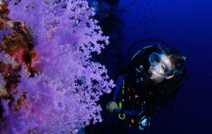 Raiwasa Private Retreat - Taveuni Island, Fiji