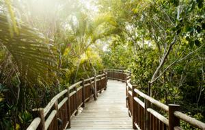 Vidanta Grand Luxxe Riviera Maya - Four Bedroom Residence - Playa del Carmen, Mexico