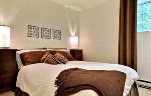 Mont-Tremblant Ski Chalet - Ski-In/Ski-Out Access - Mont Tremblant, Canada