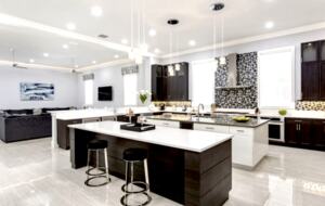 The White House Of Reunion - Reunion, Florida