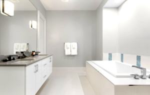 The White House Of Reunion - Reunion, Florida