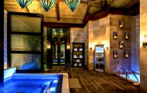 Vidanta Grande Luxxe Riviera Maya Spa Suite - Playa del Carmen, Mexico