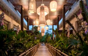 Vidanta Grande Luxxe Riviera Maya Spa Suite - Playa del Carmen, Mexico