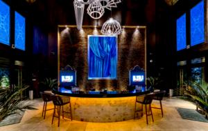 Vidanta Grande Luxxe Riviera Maya Spa Suite - Playa del Carmen, Mexico