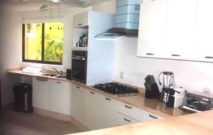 Pacific Paradise - Ixtapa de Azueta, Mexico