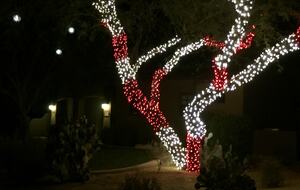 Golfer's Paradise - Scottsdale, Arizona