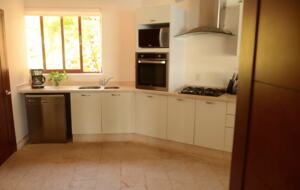 Pacific Paradise - Ixtapa de Azueta, Mexico