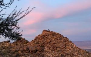 Casas Las Rocas - Mountain Center, California