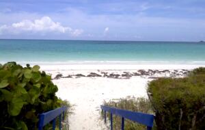 Beautiful Overwater Townhouse - Great Harbour Cay, Bahamas