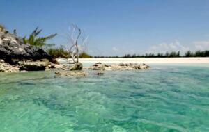 Beautiful Overwater Townhouse - Great Harbour Cay, Bahamas