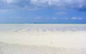 Beautiful Beachfront Double Villa - Great Harbour Cay, Bahamas