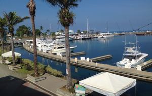 The Villas at Marina Pez Vela - 2 Bedroom Villa - Quepos/Manuel Antonio, Costa Rica