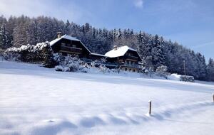 Austrian Luxury Villa - Ebenthal, Austria