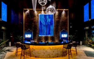 Vidanta Grande Luxxe Riviera Maya Spa Suite - Playa del Carmen, Mexico