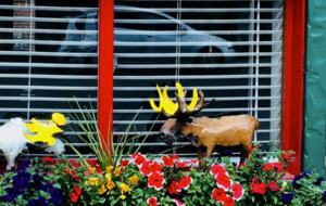 Cozy Ski Cabin Near Vail and Beaver Creek! - Minturn, Colorado