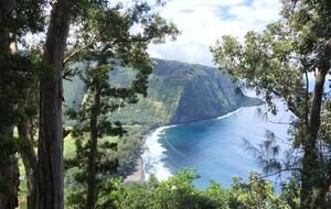 Volcano Black Bamboo House - Volcano, Big Island, Hawaii