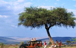Cottar's Mara Bush Villa (R) - Masai Mara, Africa, Kenya