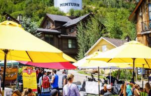 Cozy Ski Cabin Near Vail and Beaver Creek! - Minturn, Colorado