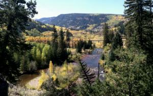 Cozy Ski Cabin Near Vail and Beaver Creek! - Minturn, Colorado