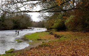 River Run Cottage - Barnard Castle, County Durham, United Kingdom