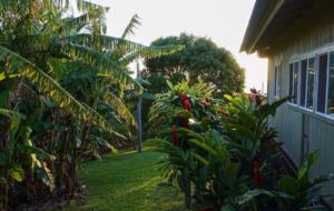North Shore Estate - Haleiwa, Oahu, Hawaii