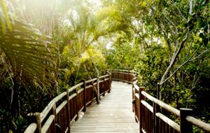 Vidanta Riviera Maya - Grande Luxxe Three Bedroom Loft Residence - Playa del Carmen, Mexico