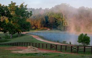 160-Acre Magnificent Estate Outside Atlanta - Greenville, Georgia