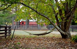 160-Acre Magnificent Estate Outside Atlanta - Greenville, Georgia