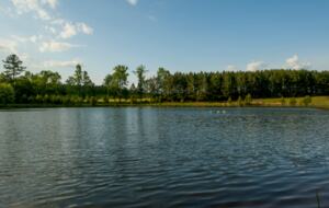 160-Acre Magnificent Estate Outside Atlanta - Greenville, Georgia