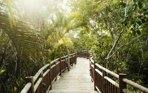 Vidanta Riviera Maya - Grand Luxxe Master Suite - Playa del Carmen, Mexico