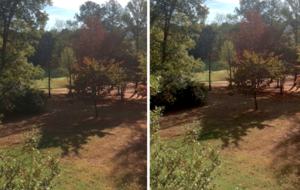 Robert Trent Jones Oxmoor Valley Course - Sunbelt Manor - Bessemer, Alabama