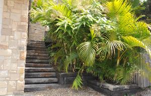 Amanwali - Luxury Beach Escape - Whale Beach, Australia