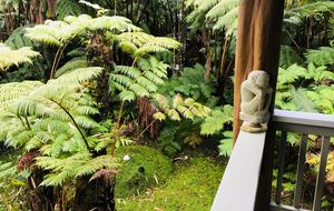 Volcano Black Bamboo House - Volcano, Big Island, Hawaii