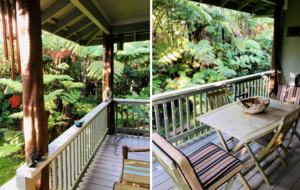Volcano Black Bamboo House - Volcano, Big Island, Hawaii