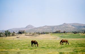 Brasada Ranch Two-Bedroom Cabin - Powell Butte, Oregon