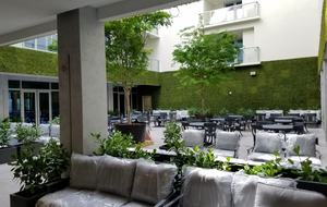 Contemporary Costa Hollywood Beach Resort - Hollywood, Florida