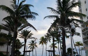 Contemporary Costa Hollywood Beach Resort - Hollywood, Florida